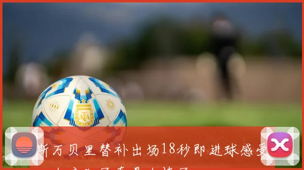 斯万贝里替补出场18秒即进球感受：太疯狂了真是太棒了