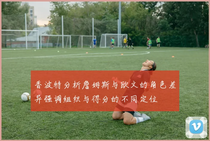 香波特分析詹姆斯与欧文的角色差异强调组织与得分的不同定位